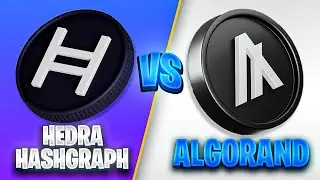 HEDERA HASHGRAPH (HBAR) VS ALGORAND (ALGO)
