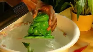 ASMR MAGIC FROG SLEEP SOUNDS, SLEEP TRIGGERS,  MORE