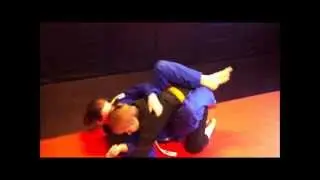 The Synergy Youth BJJ Program