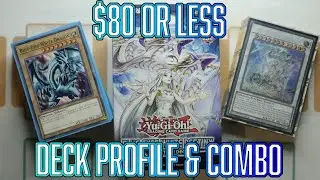 Yu-Gi-Oh! $80 of LESS BUDGET Blue Eyes White Dragon Deck Profile & Combo