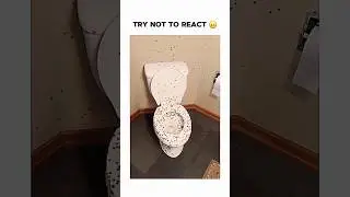 Try Not To React 😐
