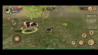 Dog Sim - Bringing Angry Cow to Boss Robo-Dog and Defeat them Together