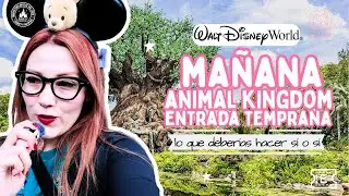 C&oacute;mo aprovechar Early Entry en Disney&rsquo;s Animal Kingdom | horarios, ruta y tips reales