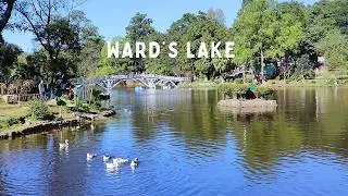 WARD'S LAKE | TRIP BUDGET | Meghalaya- Beyond The Clouds 💎 #wardslake #shillong   #meghalaya