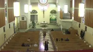 Sophie & Anto's Wedding
