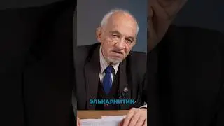 Элькарнитин и Кофермен Q-10: Скрытые Секреты Энергии | Владимир Дадали