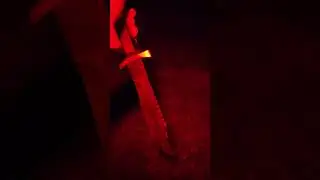 Erizo Monta&ntilde;es. Iluminaci&oacute;n T&aacute;ctica Nocturna
