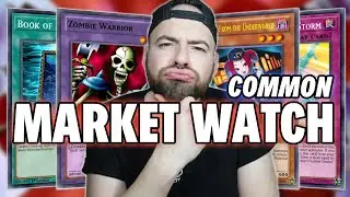 Mit den COMMON Karten machst du Geld! | CARDMARKET WATCH | Yu-Gi-Oh!