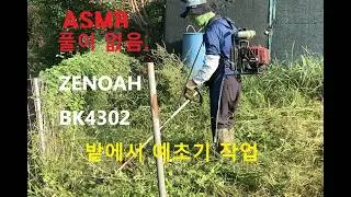 밭에서 예초기 작업. #풀 #잔디 #예초기 #줄날 #칼날 #ZENOAH #BK4302  #automobile #줄다리기 #farming #lawncare #satisfying