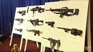 Assault weapons owners will have to report guns with new bill amendment