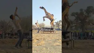 camel dance ##viralvideo ##amazingdance ##viraldance ##cameldance ##dancemusic