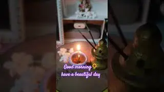 Good morning🌻#goodmorning #beautifulday #morningprayer #youtubeshorts #viralchallenge #viral #reels
