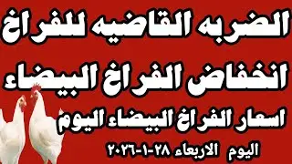 اسعار الفراخ البيضاء سعر الفراخ البيضاء اليوم الاربعاء ٢٨-١-٢٠٢٦ جمله وقطاعي في المحلات في مصر 