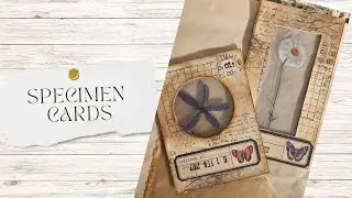 Junk Journal Book of Ideas - Specimen Cards