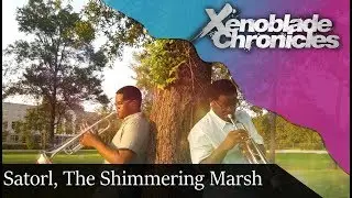 Xenoblade Chronicles: Satorl Marsh (Night) Cover || TonalRumblePak