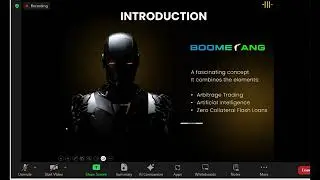 BOOMERANG ZERO LOSS TRADING ARBITRAGE