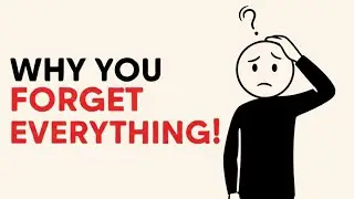 The Mind Hack to Remember Anything Better