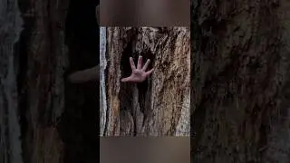 Alone in the Deep Forest 🌲 | Building a Survival Shelter with Bare Hands#survivalskills #asmr