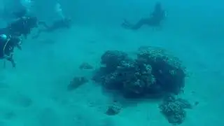 Wreck Boat Diving - Gulf of Aqaba, Red Sea, Jordan