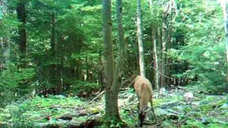7-15-10 10 pt.AVI