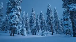 Soft Snow In A Forest | 4K Ultra HD | TV Art | TV Screensaver | Turn Your TV Into Art | No Music 
