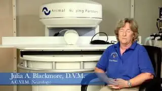 Dr. Julia Blackmore, Veterinary Neurologist