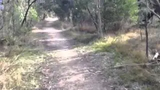 Ocean Grove Nature Reserve