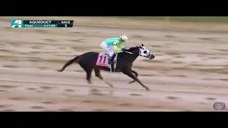 Wamo Race 5 Aqueduct