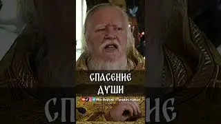 Спасение души | прот. Димитрий Смирнов @odmultiblog 