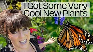 Shop With Me: Explore my Favorite Local Native Plant Nursery | Florida Gardening Zone 10a