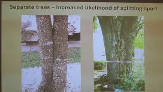 6 Jan 2026 Florida Native Plant Society - Basics of Pruning