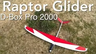 Raptor Glider D-Box Pro 2000. Slope Soaring at the Beach.