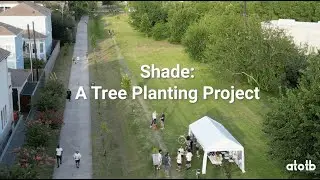 200 Trees for the Heights MKT Trail | Building Shade, Community, and Resistance