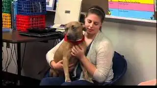 Therapy dog helps special needs class