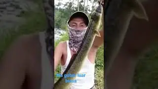 panik!!! mancing sidat raksasa #shorts
