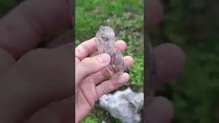 Fenester quartz..From Aravis, France 🇨🇵 2024..#minerals #gemporn #natural #rocks #miner #quartz