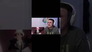 CHINCHILLA FINGERS #shorts #chinchilla #fyi #singer #musiclee #reaction