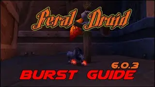 Feral Druid Burst Rotation PvE Guide 6.0.3