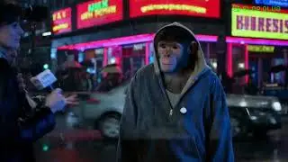 sad monkey