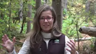 Conservation Kids - Robert Edmonson - Why does poison ivy make you itchy?