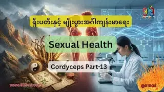 Cordyceps နှင့် မျိုးပွားအင်္ဂါကျန်းမာရေး Part 13 | Sexual Health: Libido, Fertility & Hormonal
