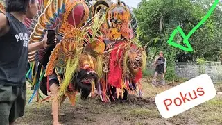 Gebyar Singo Barong #jaranan Argo Budoyo Singojuruh Live Paspan Banyuwangi. 