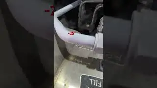 Freddo siberiano &deg;&deg;&deg;
