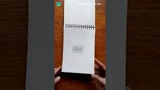 I learn #50 | Full sketchbook