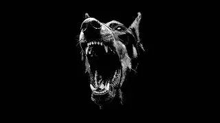 [FREE] 