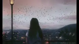 arrival of birds whatsapp status