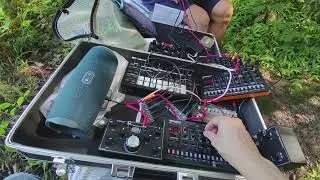 Four Pond Session - 4. out  of the space