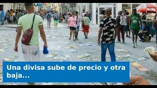 Una divisa sube de precio y otra baja en la venta informal en Cuba