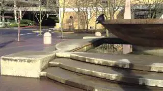 Bellevue Downtown Park
