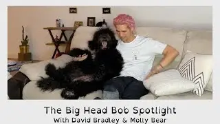 The Big Head Bob Weakness Transformation Challenge | Spotlight Series | Big Head Bob